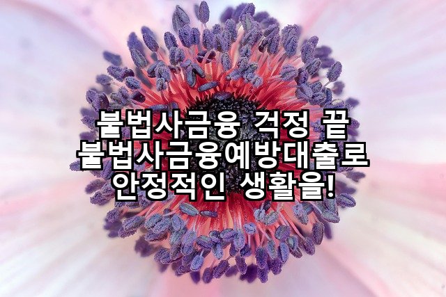 불법사금융 걱정 끝 불법사금융예방대출로 안정적인 생활을!